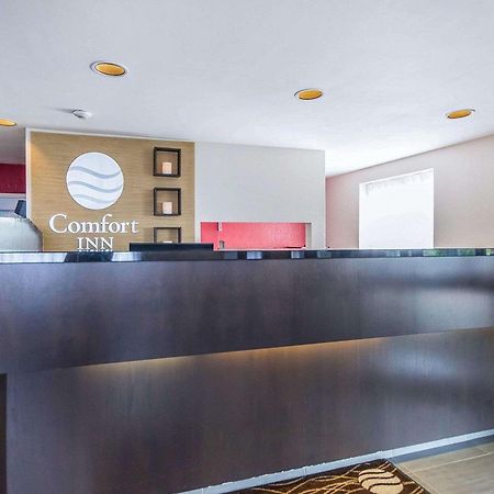 Comfort Inn East Sudbury Extérieur photo